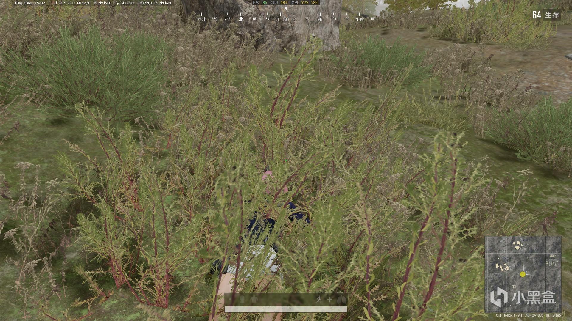 pubg9.1新地图帕拉莫有多少种形态 绝地求生新地图的多种形态详解攻略