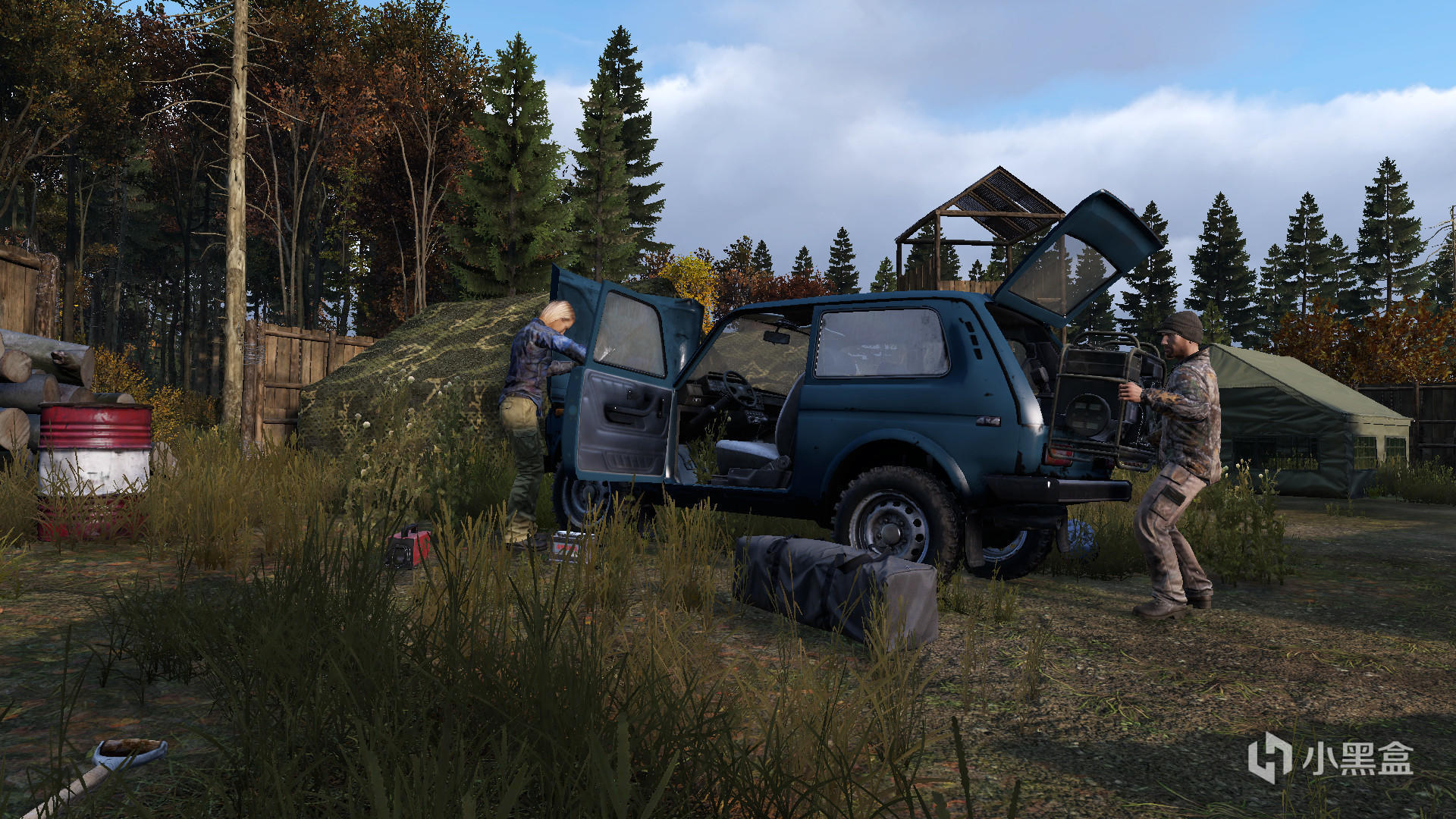 dayz