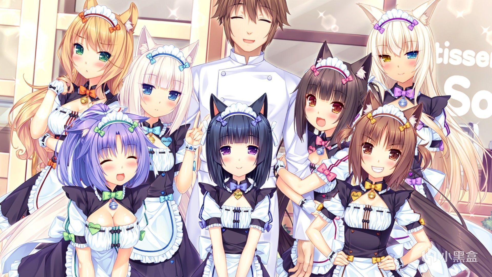 《猫娘乐园》(nekopara)tv动画2020年1月放送决定