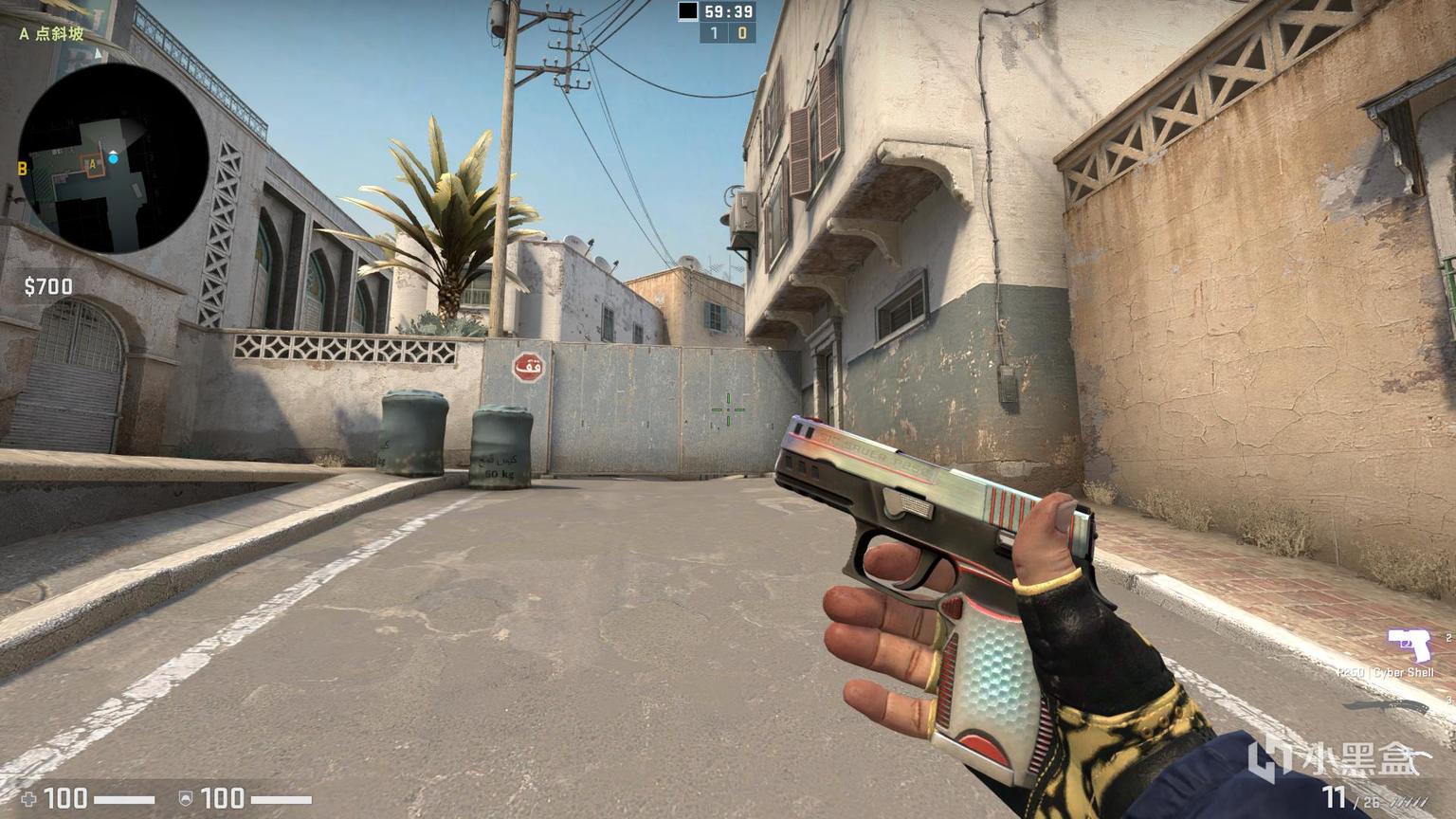 fywooのcsgo教学第十四期蛇咬武器箱皮肤检视速递17款新皮肤