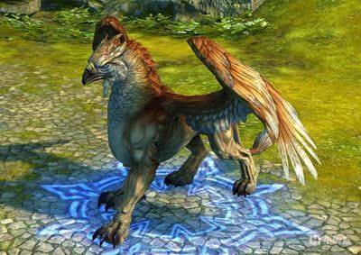 奇幻生物笔记(7)——狮鹫