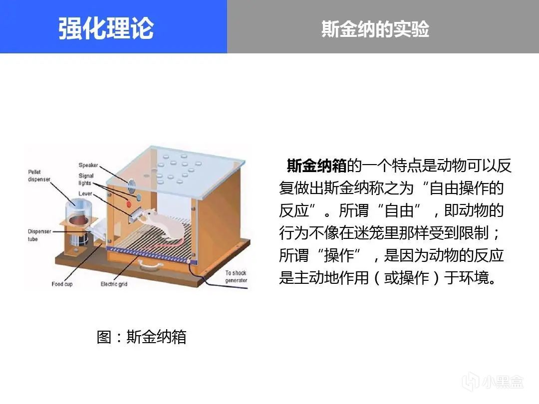 斯金纳效果律图片