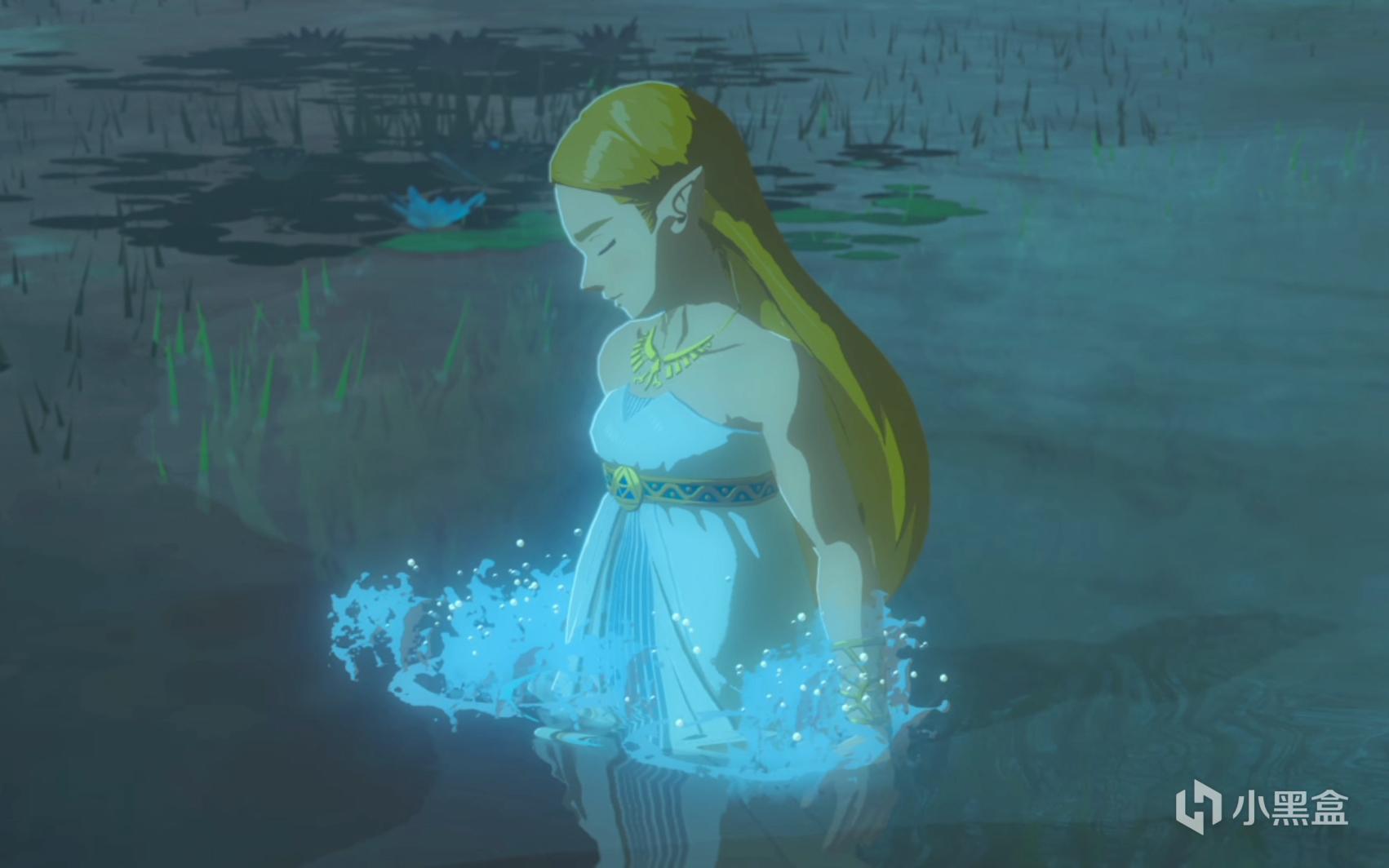 由于本次投票有个"ns独占"的限制,像"米珐","贝姐","帕露缇娜"和"