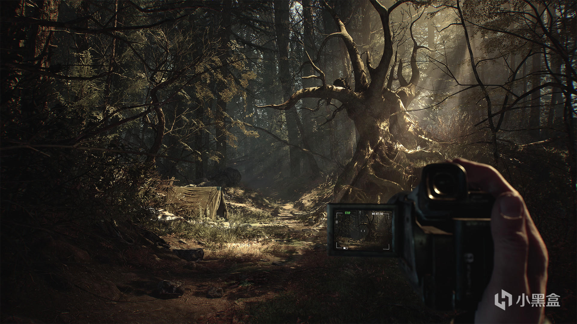 女巫布莱尔将于今年夏季登陆ns平台