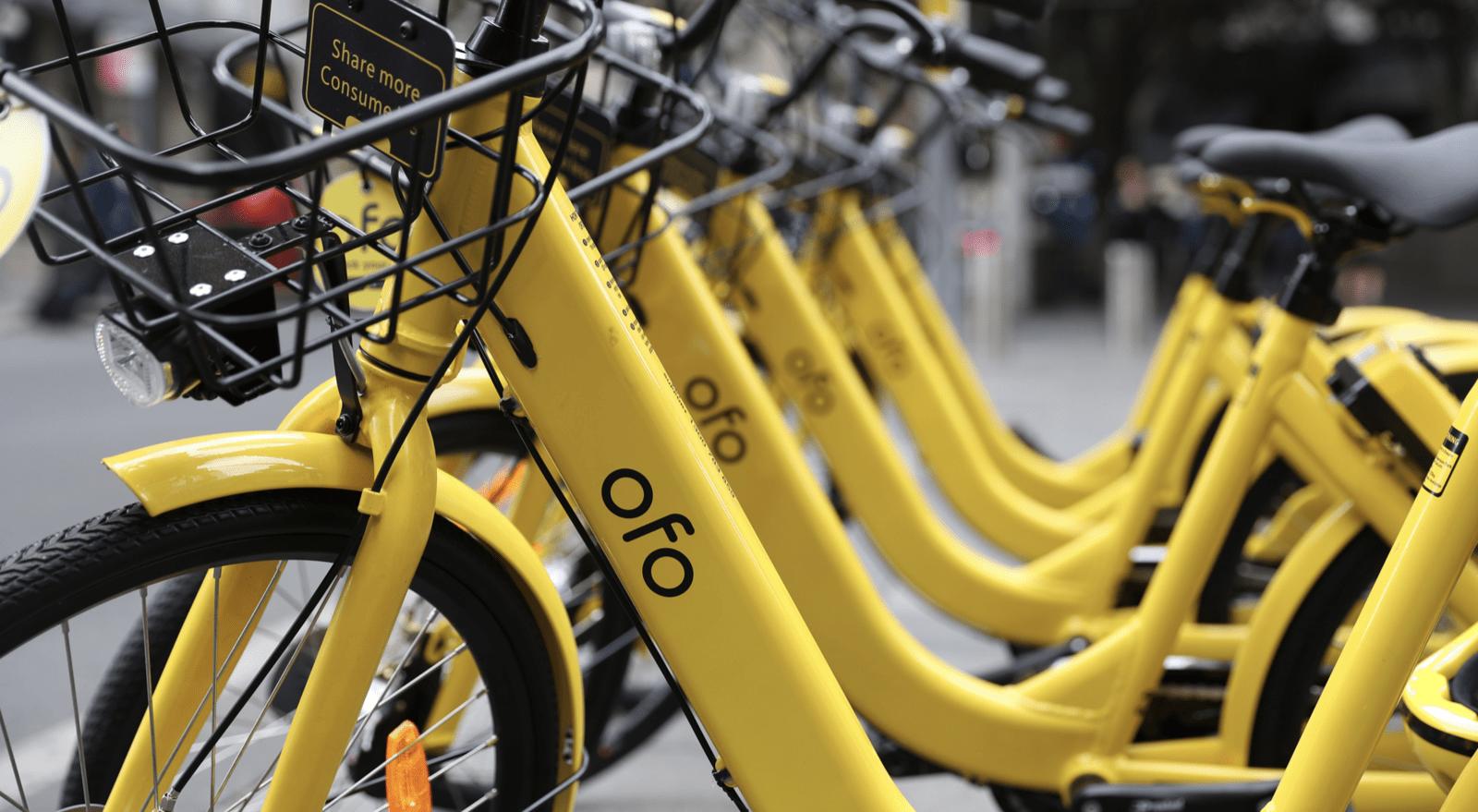 退押金无望：ofo 小黄车已彻底无法登录，用户收不到短信验证码