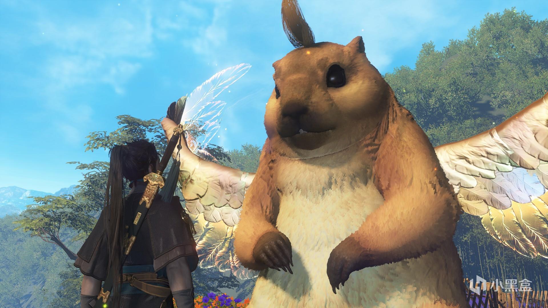 我最喜欢的黄金飞天鼠