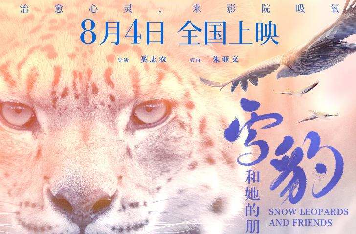 《雪豹和她的朋友們》終極預告 開啓心靈治癒之旅