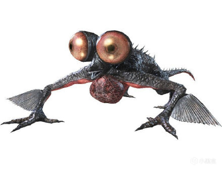 咒蛙