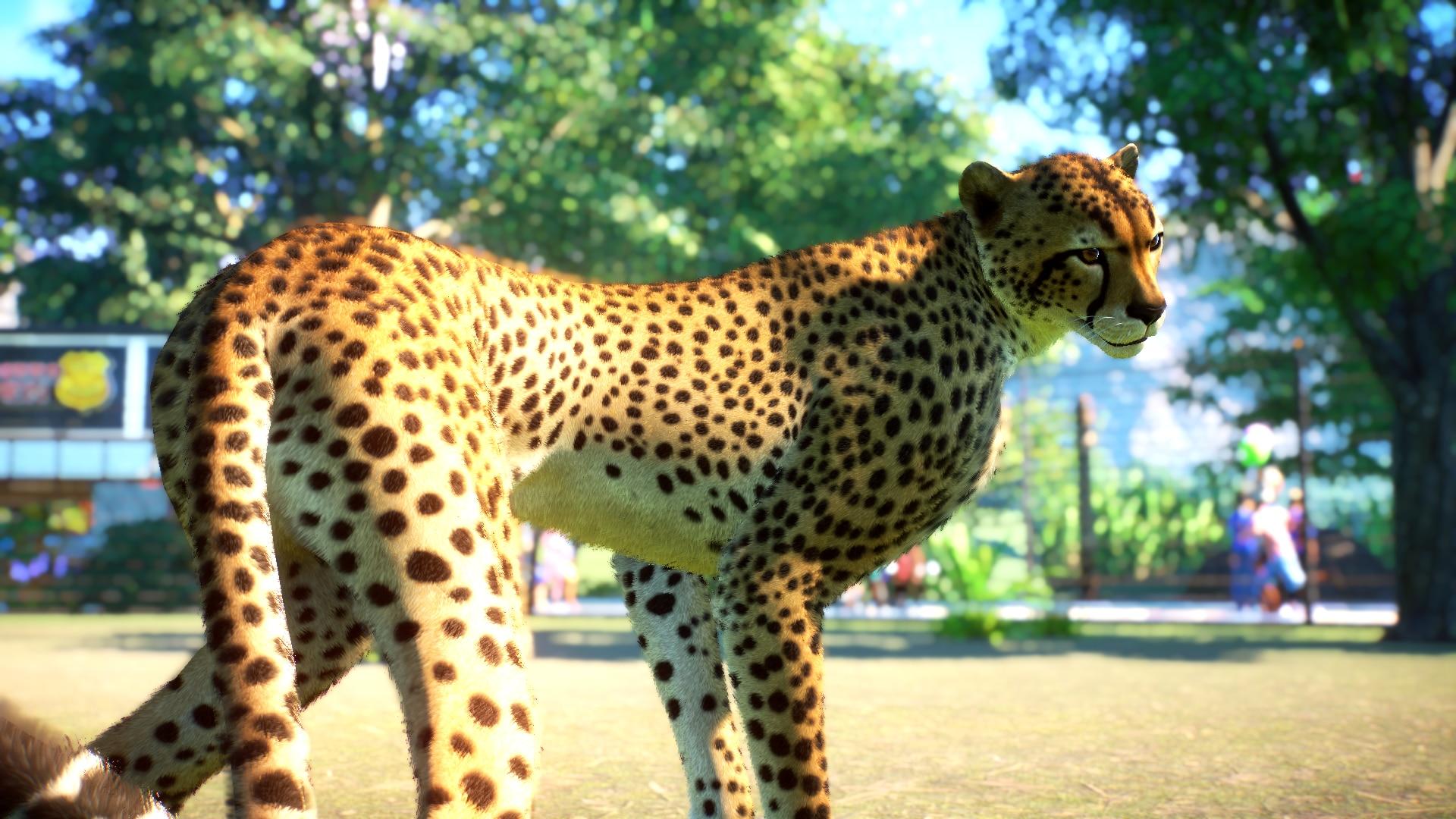 旧游新评】《动物园之星》：你也喜欢毛茸茸的小动物吗？